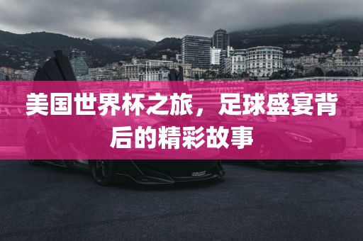 美国世界杯之旅，足球盛宴背后的精彩故事