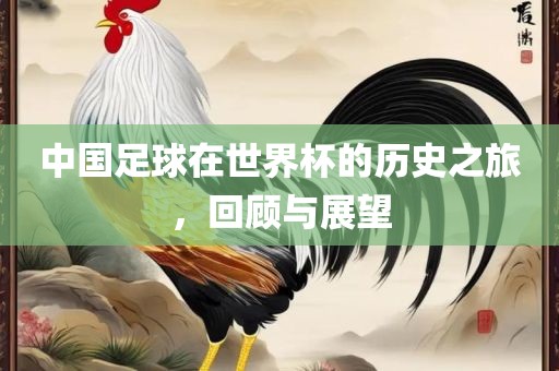 中国足球在世界杯的历史之旅，回顾与展望