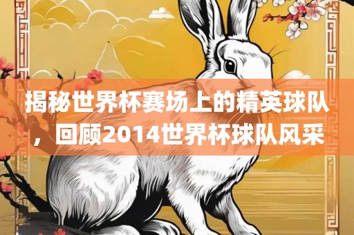 揭秘世界杯赛场上的精英球队，回顾2014世界杯球队风采