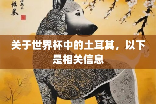 关于世界杯中的土耳其，以下是相关信息