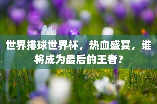 世界排球世界杯，热血盛宴，谁将成为最后的王者？