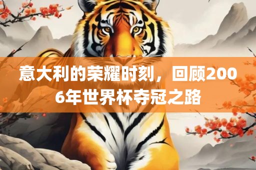 意大利的荣耀时刻，回顾2006年世界杯夺冠之路
