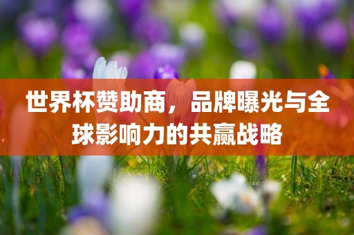 世界杯赞助商，品牌曝光与全球影响力的共赢战略