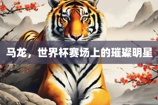 马龙，世界杯赛场上的璀璨明星