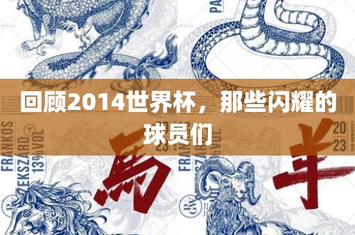 回顾2014世界杯，那些闪耀的球员们