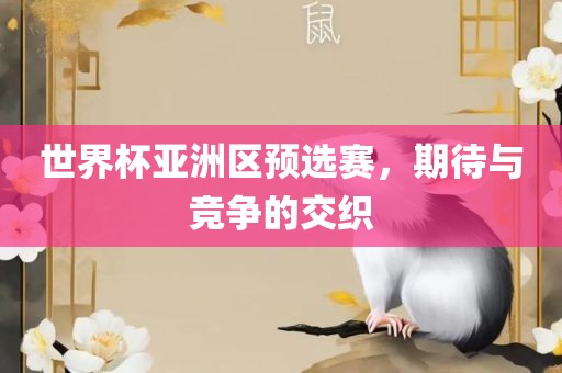 世界杯亚洲区预选赛，期待与竞争的交织
