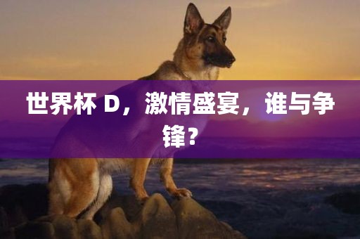 世界杯 D，激情盛宴，谁与争锋？
