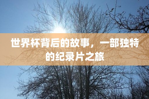 世界杯背后的故事，一部独特的纪录片之旅