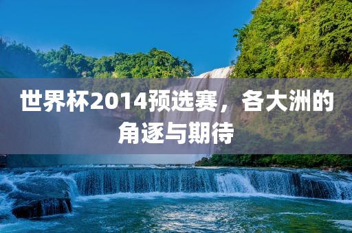 世界杯2014预选赛，各大洲的角逐与期待