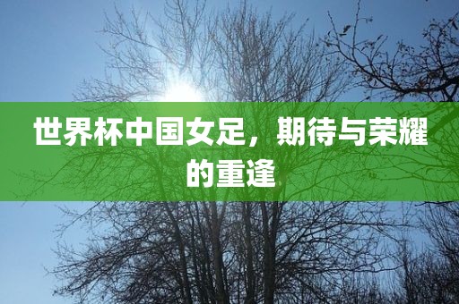 世界杯中国女足，期待与荣耀的重逢