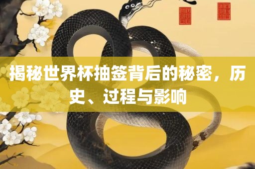 揭秘世界杯抽签背后的秘密，历史、过程与影响