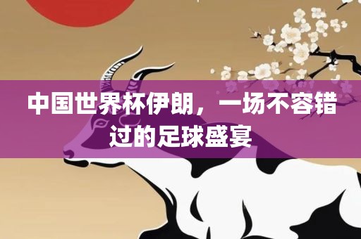 中国世界杯伊朗，一场不容错过的足球盛宴