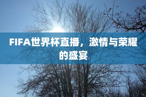 FIFA世界杯直播，激情与荣耀的盛宴