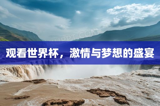 观看世界杯，激情与梦想的盛宴