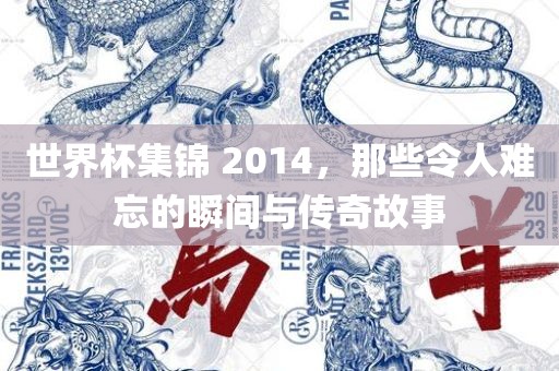 世界杯集锦 2014，那些令人难忘的瞬间与传奇故事