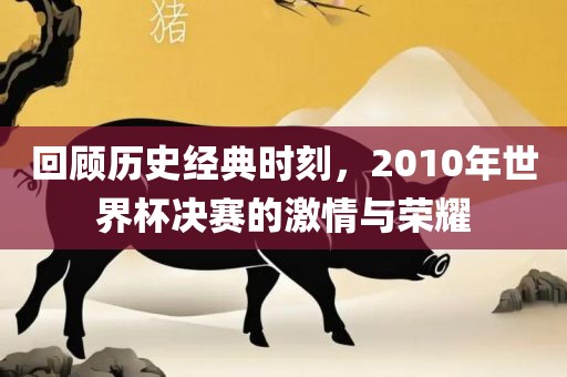 回顾历史经典时刻，2010年世界杯决赛的激情与荣耀