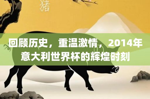 回顾历史，重温激情，2014年意大利世界杯的辉煌时刻