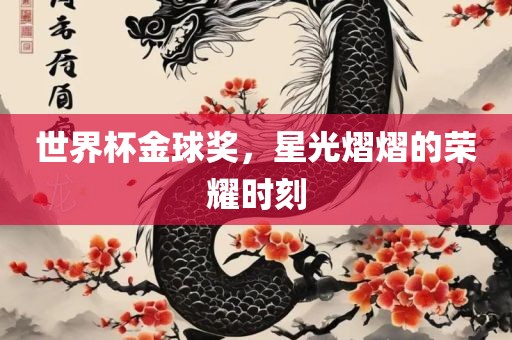 世界杯金球奖，星光熠熠的荣耀时刻