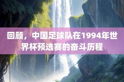 回顾，中国足球队在1994年世界杯预选赛的奋斗历程
