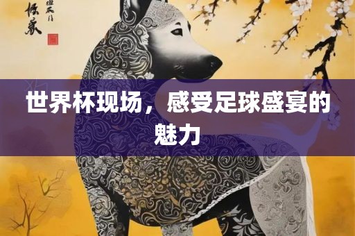 世界杯现场，感受足球盛宴的魅力