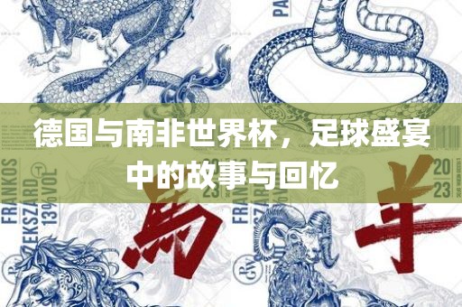 德国与南非世界杯，足球盛宴中的故事与回忆