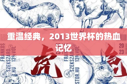 重温经典，2013世界杯的热血记忆