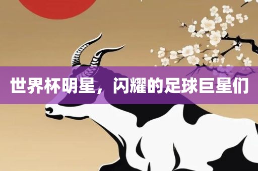 世界杯明星，闪耀的足球巨星们