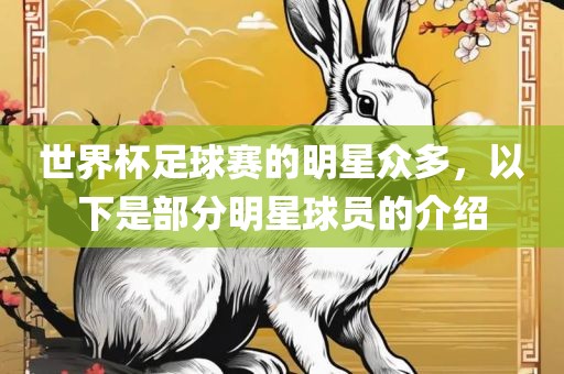世界杯足球赛的明星众多，以下是部分明星球员的介绍