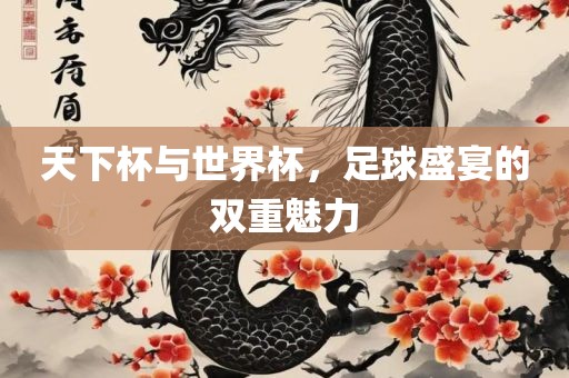天下杯与世界杯，足球盛宴的双重魅力
