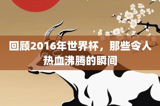 回顾2016年世界杯，那些令人热血沸腾的瞬间