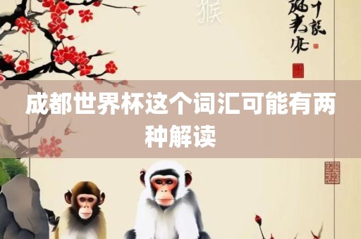 成都世界杯这个词汇可能有两种解读