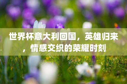 世界杯意大利回国，英雄归来，情感交织的荣耀时刻