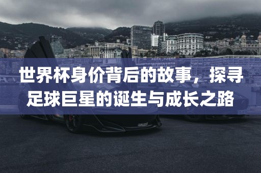 世界杯身价背后的故事，探寻足球巨星的诞生与成长之路