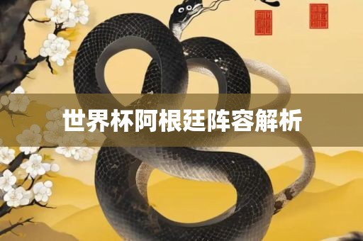 世界杯阿根廷阵容解析
