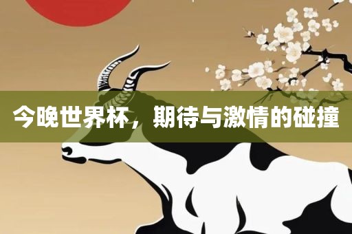 今晚世界杯，期待与激情的碰撞