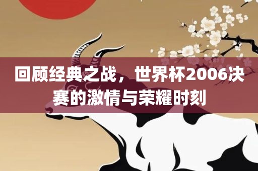 回顾经典之战，世界杯2006决赛的激情与荣耀时刻