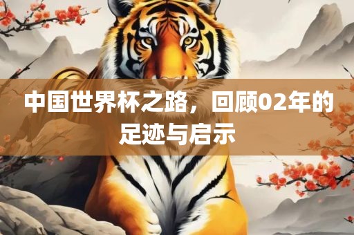中国世界杯之路，回顾02年的足迹与启示