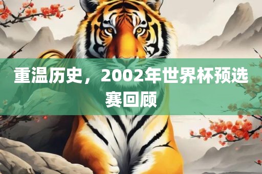 重温历史，2002年世界杯预选赛回顾