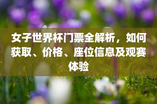 女子世界杯门票全解析，如何获取、价格、座位信息及观赛体验