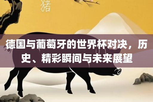 德国与葡萄牙的世界杯对决，历史、精彩瞬间与未来展望
