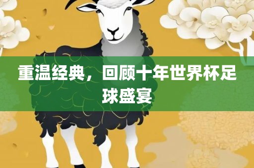 重温经典，回顾十年世界杯足球盛宴