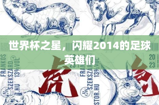 世界杯之星，闪耀2014的足球英雄们