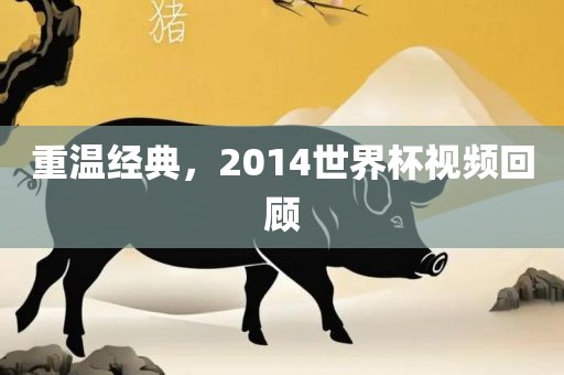重温经典，2014世界杯视频回顾