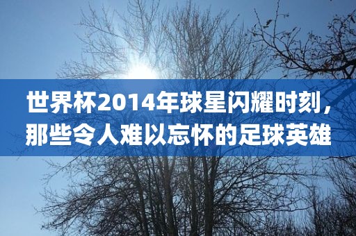 世界杯2014年球星闪耀时刻，那些令人难以忘怀的足球英雄