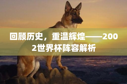回顾历史，重温辉煌——2002世界杯阵容解析