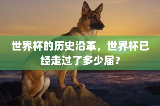 世界杯的历史沿革，世界杯已经走过了多少届？