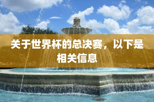 关于世界杯的总决赛，以下是相关信息