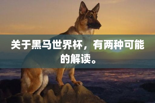 关于黑马世界杯，有两种可能的解读。