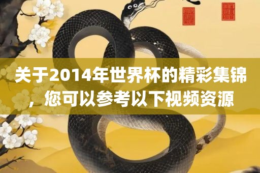 关于2014年世界杯的精彩集锦，您可以参考以下视频资源