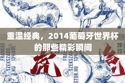 重温经典，2014葡萄牙世界杯的那些精彩瞬间